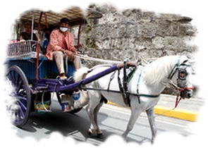 Picture of a carriage and horse.